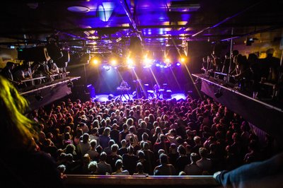 톨하위스 정원(톨하위스다윈)